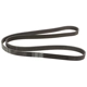 Purchase Top-Quality CONTINENTAL - 6K1560 - Serpentine Belt pa1