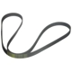 Purchase Top-Quality CONTINENTAL - 6K1743 - Serpentine Belt pa1