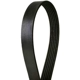 Purchase Top-Quality CONTINENTAL - 6K1940 - Metric Multi V-Belt pa2