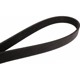 Purchase Top-Quality CONTINENTAL - 6K1940 - Metric Multi V-Belt pa4