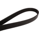 Purchase Top-Quality CONTINENTAL - 6K2315 - Serpentine Belt pa3