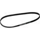 Purchase Top-Quality CONTINENTAL - 6PK1100 - Serpentine Belt pa2