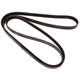 Purchase Top-Quality CONTINENTAL - 6PK1205 - Courroie serpentine - Automotive V-Belt pa1