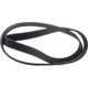 Purchase Top-Quality CONTINENTAL - 6PK1205 - Serpentine Belt - Automotive V-Belt pa5