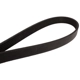 Purchase Top-Quality CONTINENTAL - 6PK1219 - Serpentine Belt - Automotive V- Belt pa1