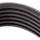 Purchase Top-Quality CONTINENTAL - 6PK1330 - Courroie serpentine pa3