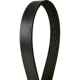 Purchase Top-Quality CONTINENTAL - 6PK1934 - Serpentine Belt - Automotive V- Belt pa5