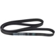 Purchase Top-Quality CONTINENTAL - 6PK2236 - V Belt pa4