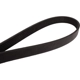 Purchase Top-Quality CONTINENTAL - 6PK2243 - V Belt pa3