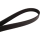 Purchase Top-Quality CONTINENTAL - 730K6MK - Serpentine Belt pa2