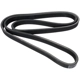 Purchase Top-Quality CONTINENTAL - 7DK2950 - Serpentine Belt pa1