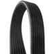 Purchase Top-Quality CONTINENTAL - 7DK2950 - Serpentine Belt pa2