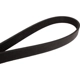 Purchase Top-Quality CONTINENTAL - 805K6MK - Mileage Maker Multi V Belt pa1
