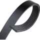Purchase Top-Quality CONTINENTAL - 820K6MK - Serpentine Belt pa1