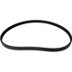 Purchase Top-Quality Serpentine Belt by CONTINENTAL - 880K4MK pa2