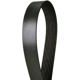 Purchase Top-Quality CONTINENTAL - 8PK1289 - Accessory Drive Belt pa3