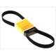 Purchase Top-Quality CONTINENTAL - 926K6MK - Conti-V Multirib Mileage Maker Multi V-Belt pa3