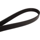 Purchase Top-Quality CONTINENTAL - 995K6MK - Serpentine Belt pa1
