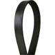 Purchase Top-Quality CONTINENTAL - 995K6MK - Serpentine Belt pa3