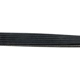 Purchase Top-Quality CONTINENTAL - D4060672 - Serpentine Belt - Automotive V-Belt pa1