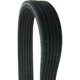 Purchase Top-Quality CONTINENTAL - D4060672 - Serpentine Belt - Automotive V-Belt pa2