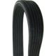 Purchase Top-Quality CONTINENTAL - D4060700 - Serpentine Belt - Automotive V - Belt pa2