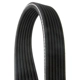 Purchase Top-Quality CONTINENTAL - D4070535 - Serpentine Belt - Automotive V-Belt pa1