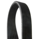 Purchase Top-Quality CONTINENTAL - D4070816 - Serpentine Belt - Automotive V- Belt pa1