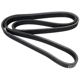 Purchase Top-Quality CONTINENTAL - D4070816 - Serpentine Belt - Automotive V- Belt pa4