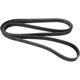 Purchase Top-Quality CONTINENTAL - D4080555 - Supercharger Multi-V Reinforced Belt Serpentine Belt pa1