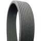 Purchase Top-Quality CONTINENTAL - D4080555 - Supercharger Multi-V Reinforced Belt Serpentine Belt pa4