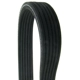 Purchase Top-Quality CONTINENTAL - D4100670 - Accessory Drive Belt - Automotive V-Belt pa3