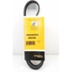 Purchase Top-Quality CONTINENTAL - PK040365 - Serpentine Belt pa1