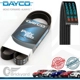Purchase Top-Quality Courroie serpentine par DAYCO - 5040388 pa11