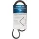 Purchase Top-Quality Serpentine Belt by DAYCO - 5040388 pa6