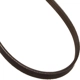 Purchase Top-Quality Serpentine Belt by DAYCO - 5040398 pa4