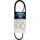 Purchase Top-Quality Serpentine Belt by DAYCO - 5050437 pa11