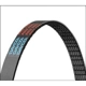 Purchase Top-Quality Serpentine Belt by DAYCO - 5060405 pa6
