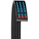 Serpentine Belt by DAYCO - 5060885 pa2