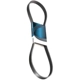 Purchase Top-Quality Serpentine Belt by DAYCO - 5080545 pa1