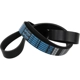 Purchase Top-Quality Serpentine Belt by DAYCO - 5080663SC pa4