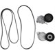 Purchase Top-Quality Serpentine Belt Drive Component Kit by CONTINENTAL - K49282A pa1
