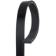 Purchase Top-Quality GATES - K050529 - Serpentine Belt pa1