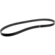 Purchase Top-Quality Serpentine Belt by MOTORCRAFT - JA661 pa1