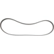 Purchase Top-Quality Serpentine Belt by MOTORCRAFT - JA661 pa2