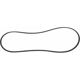 Purchase Top-Quality Serpentine Belt by MOTORCRAFT - JK4-523 pa3