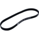 Purchase Top-Quality Serpentine Belt by MOTORCRAFT - JK6-377 pa2