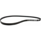 Purchase Top-Quality Serpentine Belt by MOTORCRAFT - JK6-591 pa1