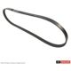 Purchase Top-Quality Serpentine Belt by MOTORCRAFT - JK4-371 pa1