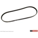 Purchase Top-Quality Courroie serpentine by MOTORCRAFT - JK4-371 pa2